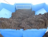 Champignon compost hopper voor trailer economy